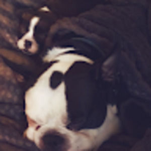 Meet your Posher, Alayna